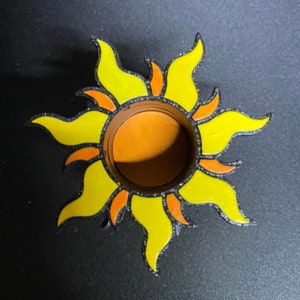 Jumping Spider Sun Hide