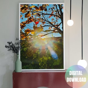 Printable Wall Art, Light Codes Wall Art, Rainbow Nature Print, Modern Printable, Nature Photography Printable, Modern Home Decor Art, Print