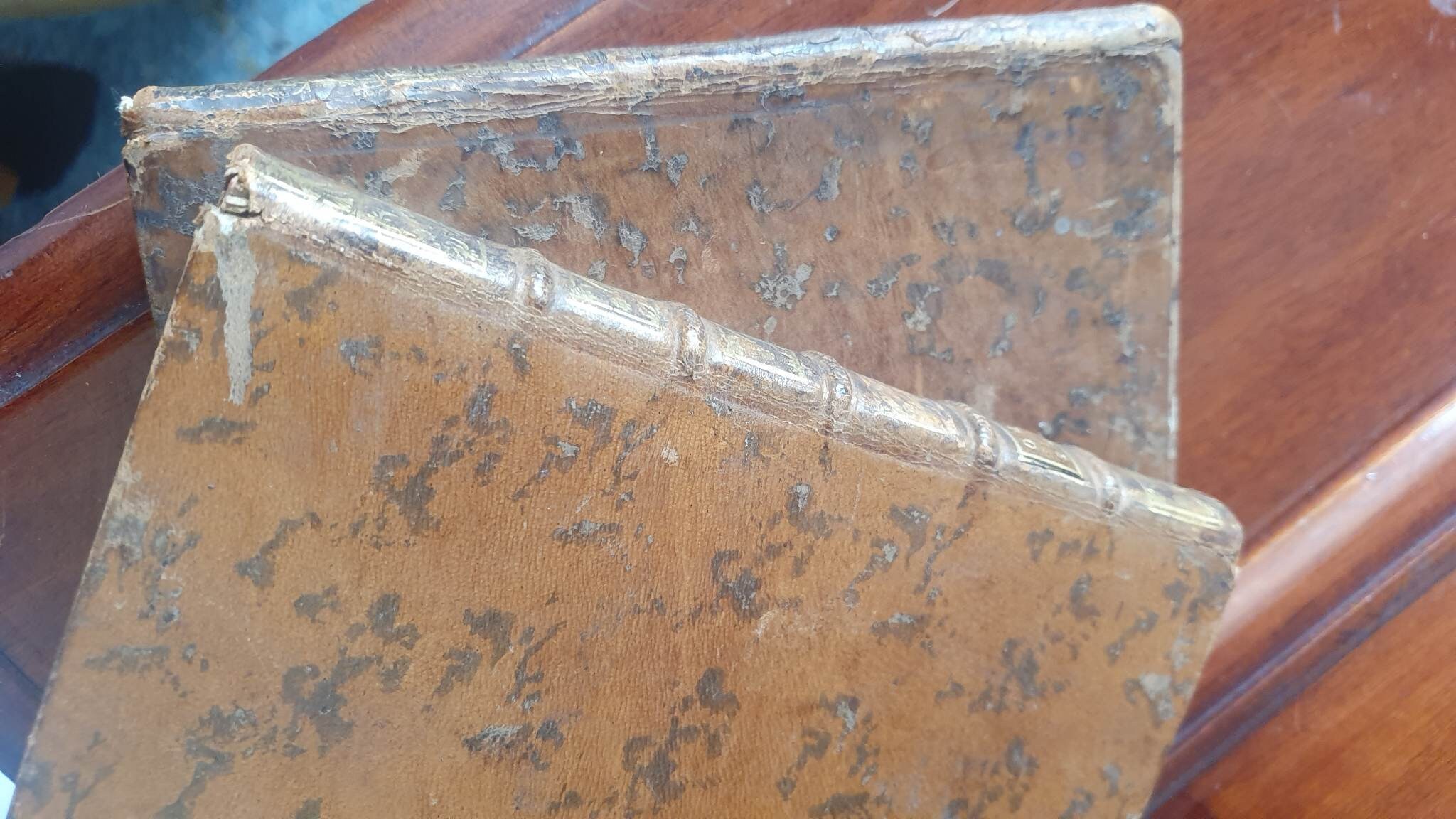 Pair of 18th Century French Books Ovid and Religious Tome - Etsy