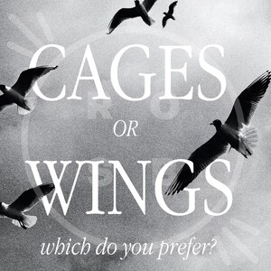 May include: Black and white photo of seagulls in flight with the text "CAGES OR WINGS which do you prefer?" superimposed on the image.