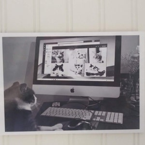 May include: Black and white photograph of a cat looking at a computer screen displaying images of cats. The computer has a keyboard and mouse. The image is framed and mounted on a white wall.