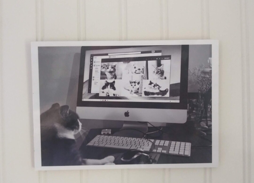 Comp U Cat Compu-cat - Etsy