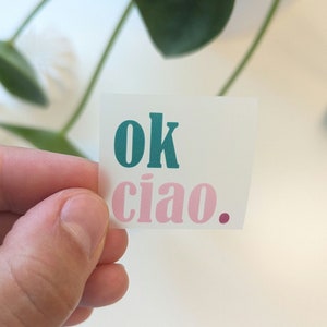 Könnte beinhalten: Ein quadratischer Aufkleber mit den Worten "ok ciao." Das Wort "ok" ist in Türkis und "ciao" in Rosa gehalten. Der Aufkleber wird von einer Hand gehalten, mit einem weißen Hintergrund und grünen Blättern im Hintergrund.