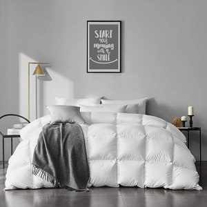 Indulge in Luxury: 100% Egyptian Cotton Cloud Like Feel 1 Pc Comforter - All Season & Winter Variants