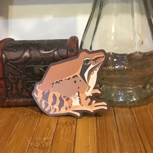 Holz Frosch Magnet