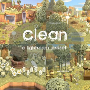 Clean Preset, ACNH Preset, Lightroom Preset