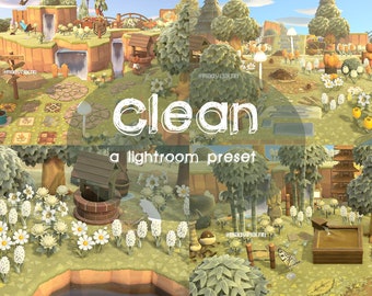 Clean Lightroom Preset: Fresh Photo Editing (Digital Download)
