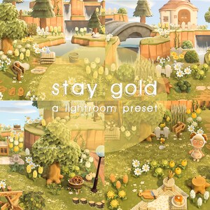 Stay Gold Preset