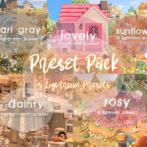 Lightroom Preset Pack, ACNH Preset Bundle, ACNH Presets