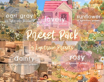 Lightroom Preset Pack, ACNH Preset Bundle, ACNH Presets