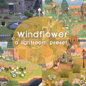 Windflower Preset, ACNH Preset, Lightroom Preset