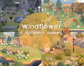Windflower Lightroom Preset: Vintage Vibe (Digital Download)