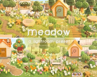 Meadow Lightroom Preset: Soft ACNH Filter (Digital Download)
