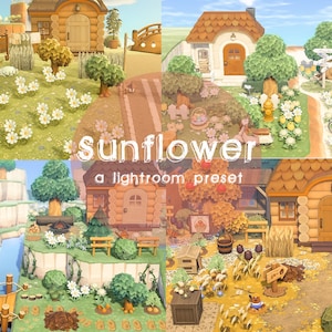 Sunflower Preset, ACNH Preset, Lightroom Preset
