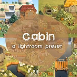 Cabin Preset, ACNH Preset, Lightroom Preset
