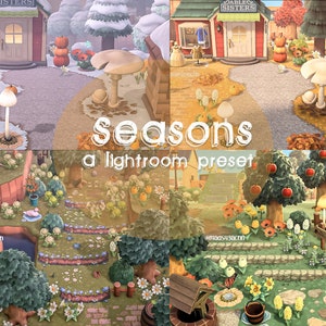Seasons Preset, ACNH Preset, Lightroom Preset