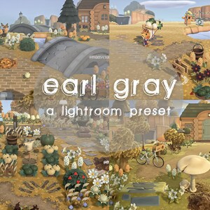 Earl Gray Preset, ACNH Preset, Lightroom Preset