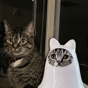 Ghost Costume Kitty