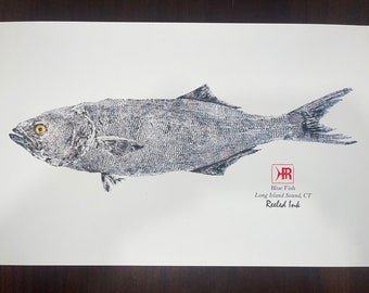 Bluefish Print