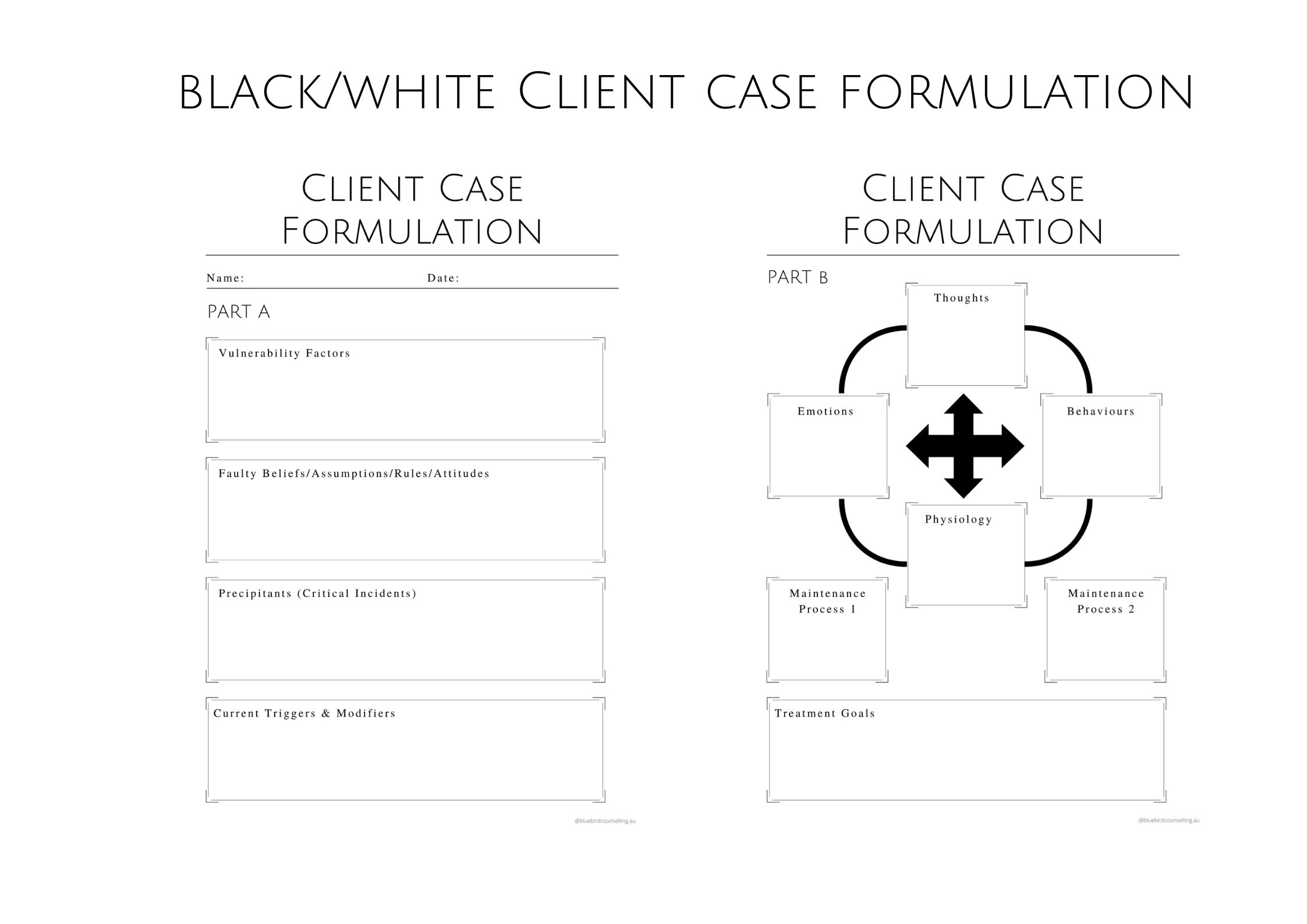 Client Case Narrative Example Minimal Digital Client Case Formulation, Therapist Planner, Counselor ...