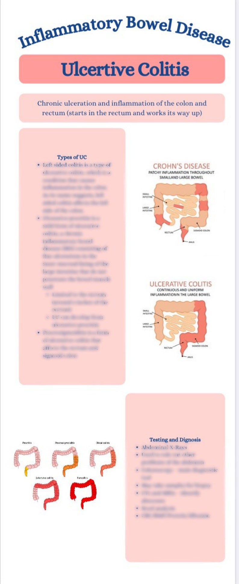 Cholecystitis, PUD, and IBD Note Bundle - Etsy