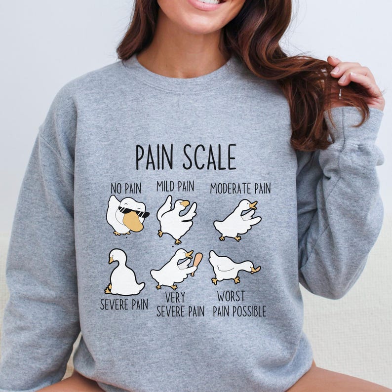 May include: A gray sweatshirt with a pain scale graphic featuring a series of cartoon geese with different expressions. The text reads "Pain Scale", "No Pain", "Mild Pain", "Moderate Pain", "Severe Pain", "Very Severe Pain", and "Worst Pain Possible".