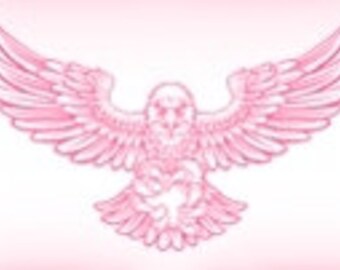 Cela a commencé comme un t-shirt de virus