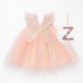 Pink Tulle Butterfly Dress with Custom Ornament, Rainbow Fairy Princess Tutu