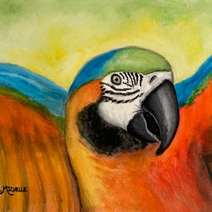 The Flasher Macaw Parrot Print by Rachel Michelle 8x10 - Hand Signed