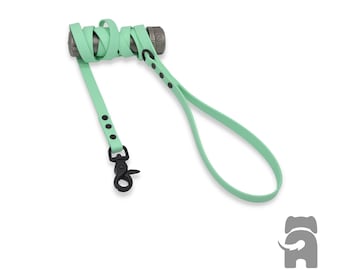 May include: A light green dog leash with black accents and a metal clip. The leash is rolled up and tied with a knot.