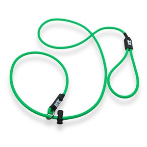 May include: Green dog leash with black hardware and a loop at one end. The leash is made of a soft, flexible material.