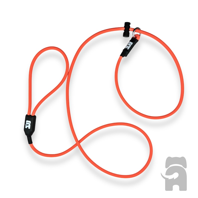 May include: A bright orange dog leash with black hardware and a small loop at one end. The leash is made of a soft, flexible material.