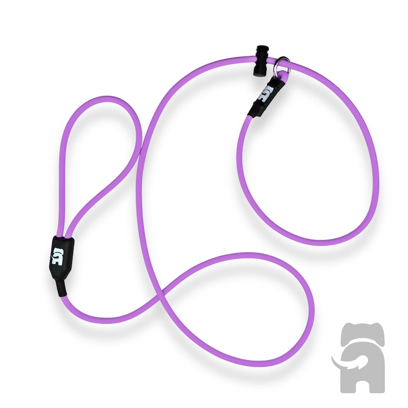 BioThane Rope Dog Slip Lead | Waterproof Training Leash, Custom Color Lavender