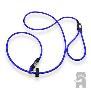May include: A blue dog leash with a black handle and a metal clip. The leash is made of a soft, flexible material.