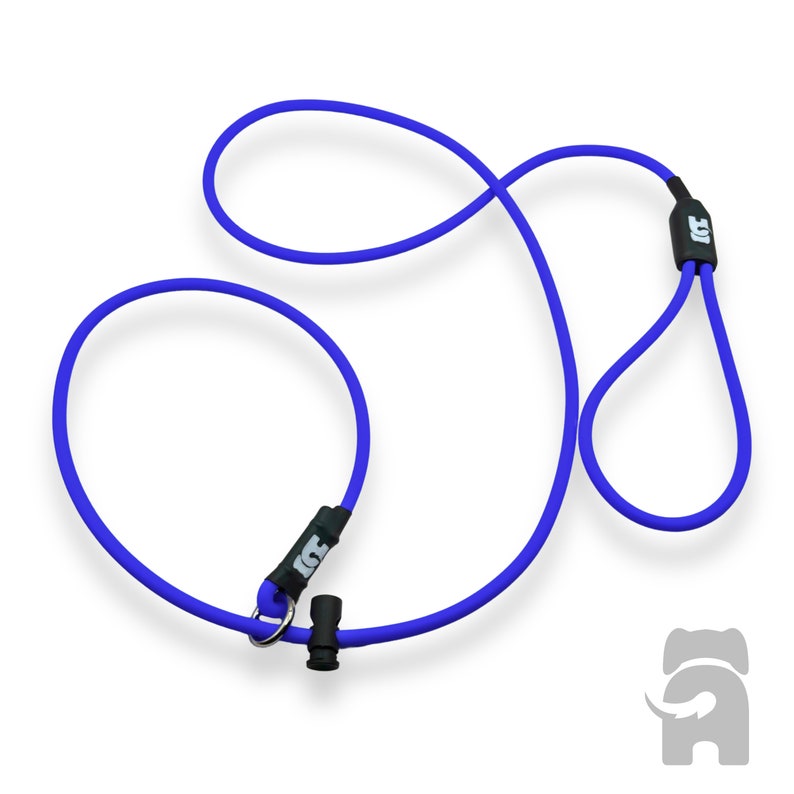 May include: A blue dog leash with a black handle and a metal clip. The leash is made of a soft, flexible material.