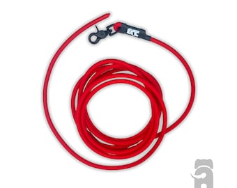 BioThane Rope Dog Training Lead | Waterproof Scent Work Leash