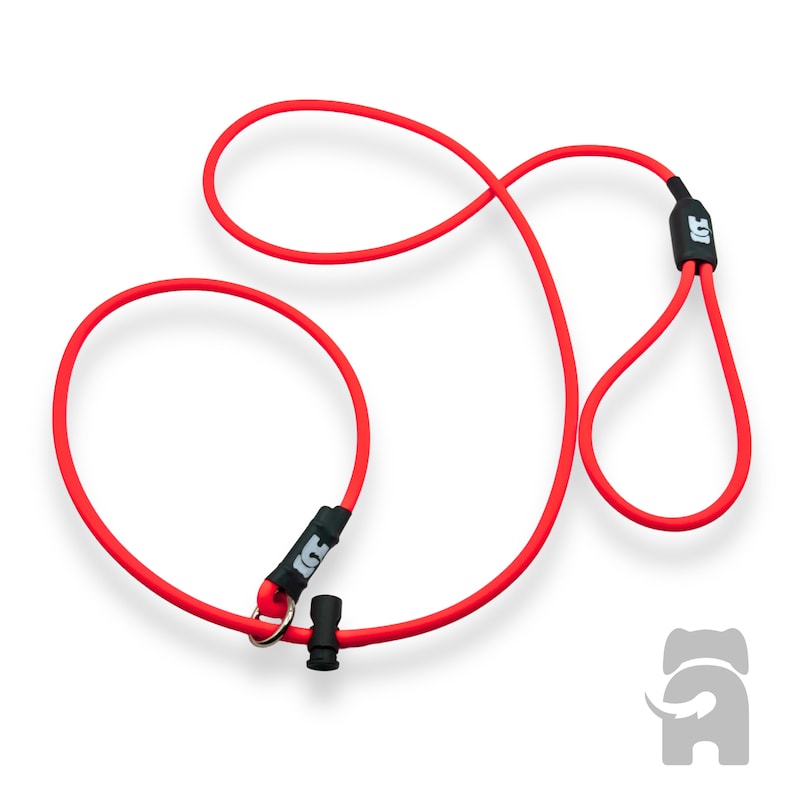 May include: Red dog leash with a black loop handle and a metal ring. The leash is made of a soft, flexible material.