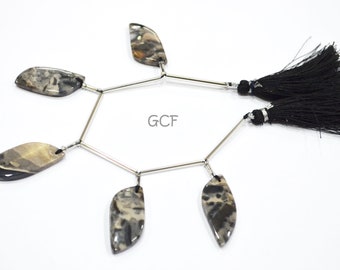 5 個入り 1 ストランド オーシャン ジャスパー ファンシー S シェイプ