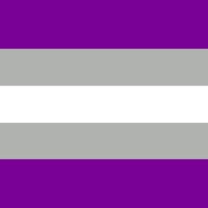 May include: A horizontal flag with five stripes. The top and bottom stripes are purple, the middle stripe is white, and the two stripes in between are gray.