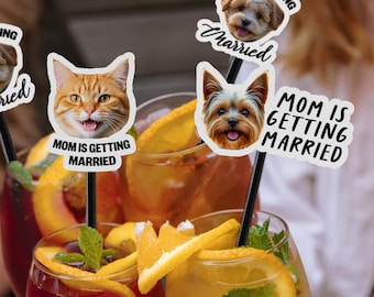 Può includere: Cocktail con bastoncini decorativi. I bastoncini presentano immagini di un gatto e cani con la scritta "MOM IS GETTING MARRIED". Le bevande sono guarnite con fette d'arancia e menta.