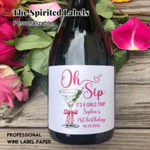 Oh Sip Birthday Celebration Champagne Labels/A Tini Bit Older Birthday Party Wine/Custom Pink Bow Martini Themed Birthday Wine Favors