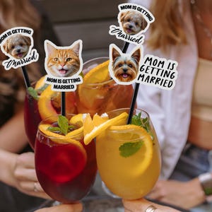 Puede incluir: Copas de c&oacute;ctel con rodajas de naranja y menta, adornadas con agitadores decorativos. Los agitadores presentan im&aacute;genes de un gato y perros, con el texto "MOM IS GETTING MARRIED".