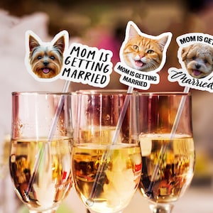 Puede incluir: Tres copas de champ&aacute;n llenas de un l&iacute;quido dorado, cada una adornada con un palito decorativo con la cara de una mascota y el texto "MOM IS GETTING MARRIED". Las mascotas incluyen un perro, un gato y otro perro.