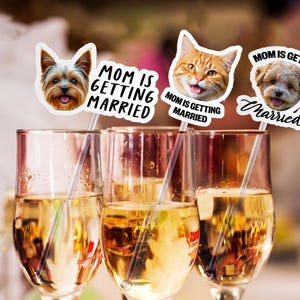 Puede incluir: Tres copas de champ&aacute;n llenas de un l&iacute;quido dorado, cada una adornada con un palito decorativo con la cara de una mascota y el texto "MOM IS GETTING MARRIED". Las mascotas incluyen un perro, un gato y otro perro.