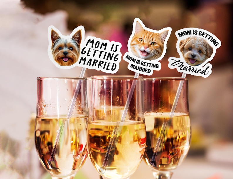 Puede incluir: Tres copas de champ&aacute;n llenas de un l&iacute;quido dorado, cada una adornada con un palito decorativo con la cara de una mascota y el texto "MOM IS GETTING MARRIED". Las mascotas incluyen un perro, un gato y otro perro.