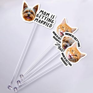 Puede incluir: Adornos para tartas de pl&aacute;stico transparente con caras de mascotas, incluyendo un Yorkshire Terrier y gatos atigrados naranjas. Cada adorno tiene el texto "MOM IS GETTING MARRIED" en negro.