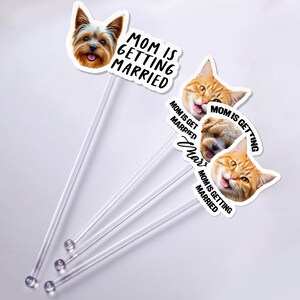Puede incluir: Adornos transparentes para tartas con caras de mascotas, incluyendo un Yorkshire Terrier y gatos atigrados naranjas. Cada adorno tiene el texto "MOM IS GETTING MARRIED" en negro. Para una boda.