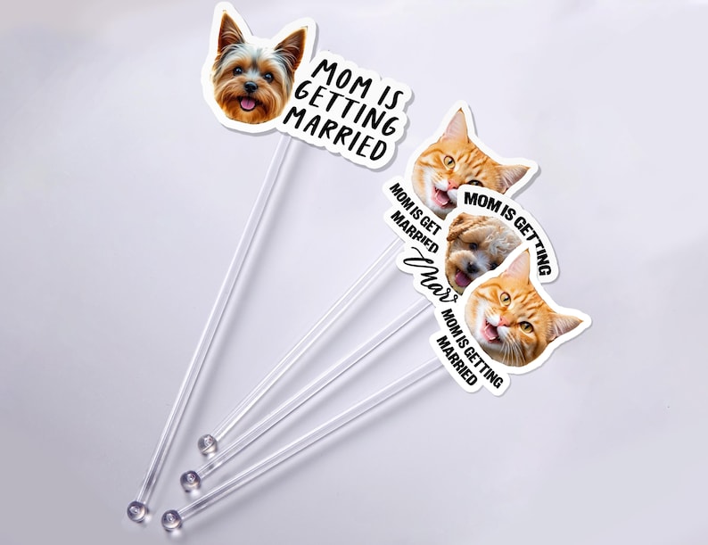 Puede incluir: Adornos transparentes para tartas con caras de mascotas, incluyendo un Yorkshire Terrier y gatos atigrados naranjas. Cada adorno tiene el texto "MOM IS GETTING MARRIED" en negro. Para una boda.
