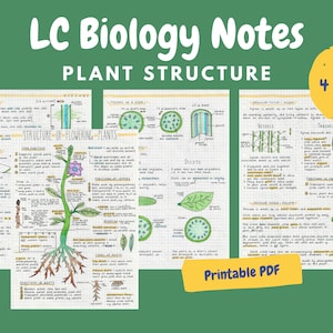 Pflanzenstruktur Notizen - Leaving Cert Biology