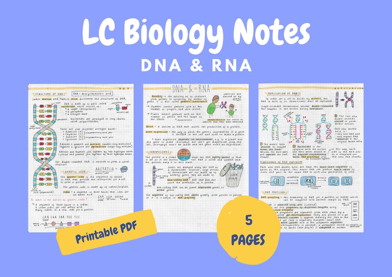 DNA & RNA Notes Leaving Cert Biology Etsy